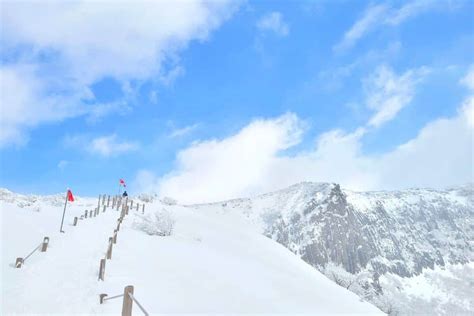 제주도 겨울, 바람이 부는 이유는 따로 있다